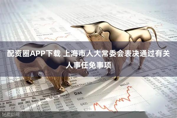 配资圈APP下载 上海市人大常委会表决通过有关人事任免事项