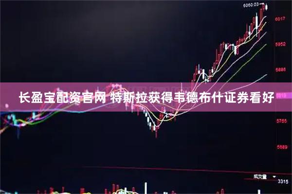 长盈宝配资官网 特斯拉获得韦德布什证券看好