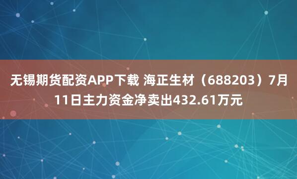 无锡期货配资APP下载 海正生材(688203)7月11日主力资金净卖出432.61万元