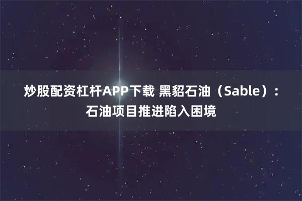 炒股配资杠杆APP下载 黑貂石油（Sable）：石油项目推进陷入困境