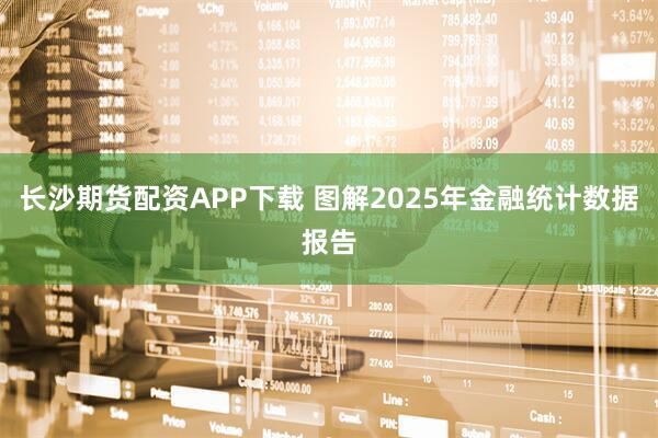 长沙期货配资APP下载 图解2025年金融统计数据报告