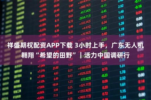 祥盛期权配资APP下载 3小时上手，广东无人机翱翔“希望的田野”｜活力中国调研行