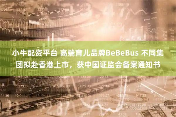 小牛配资平台 高端育儿品牌BeBeBus 不同集团拟赴香港上市，获中国证监会备案通知书