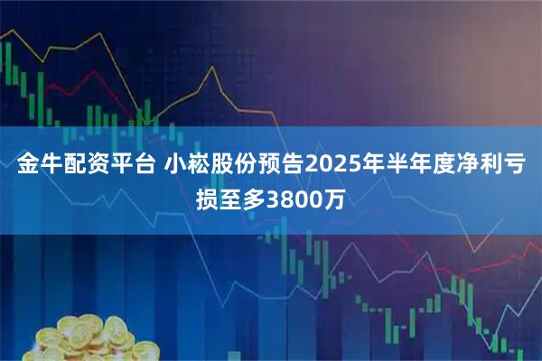 金牛配资平台 小崧股份预告2025年半年度净利亏损至多3800万