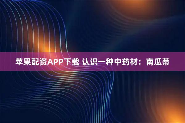 苹果配资APP下载 认识一种中药材：南瓜蒂